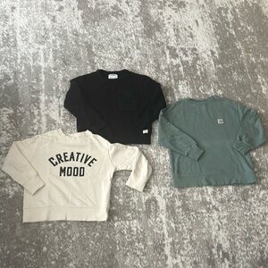 Zara sweatshirts bundle